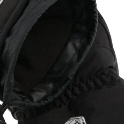 Alpine Czone Pointer Fäustlinge By Hestra