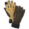 Hestra CZone Contact Glove 5 Finger - Handschuhe -Hestra-Shop hestra czone contact glove 5 finger handschuhe